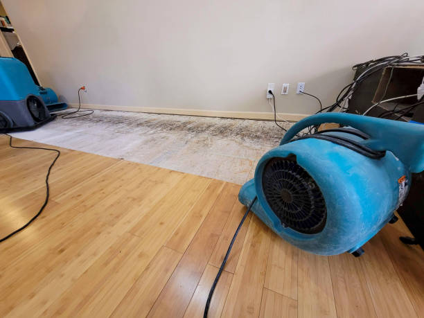 Professional Water Removal technician working in Canton, MS